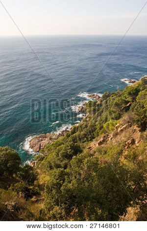 bella bearti selvaggio della Costa Brava, Spagna