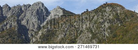 Autumn In Conguillio National Park In Southern Chile. Trees In Autumn Foliage In The Foreground; Eve