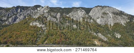 Autumn In Conguillio National Park In Southern Chile. Trees In Autumn Foliage In The Foreground; Eve