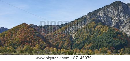 Autumn In Conguillio National Park In Southern Chile. Trees In Autumn Foliage In The Foreground; Eve