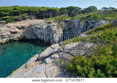 Puglia, Italy, August 2018, Cala Tonda In The North Rocky Coast Of Tremiti Islands With Its Pine For