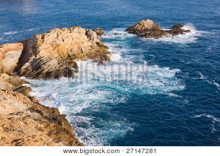 bella bearti selvaggio della Costa Brava, Spagna