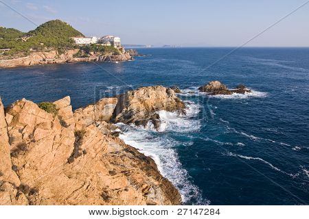 bella bearti selvaggio della Costa Brava, Spagna