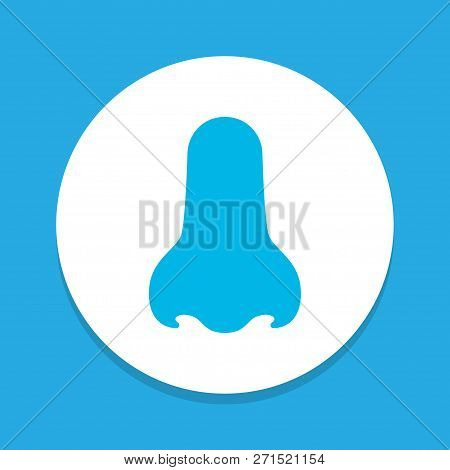 Nose Icon Colored Symbol. Premium Quality Isolated Smell Element In Trendy Style.
