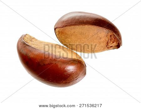 Two Nuts Vitellaria Paradoxa , Commonly Known As Shea Tree Or Sh