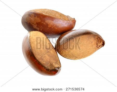 Three Nuts Vitellaria Paradoxa , Commonly Known As Shea Tree Or