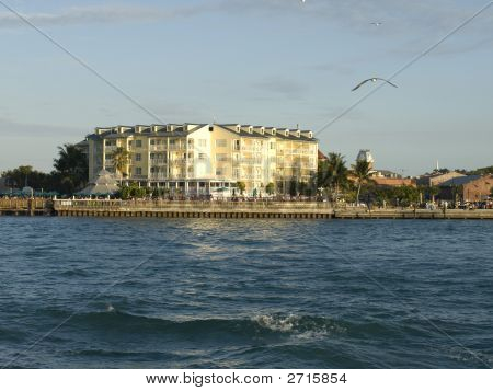 Lungomare