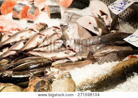 Fish Market, Fresh Fish In Street Market, Fresh Fish, Social Issue, Fish Market Street Market