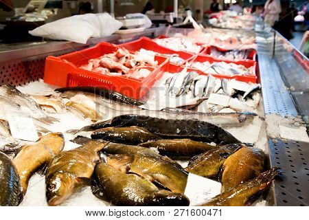 Fish Market, Fresh Fish In Street Market, Fresh Fish, Social Issue, Fish Market Street Market