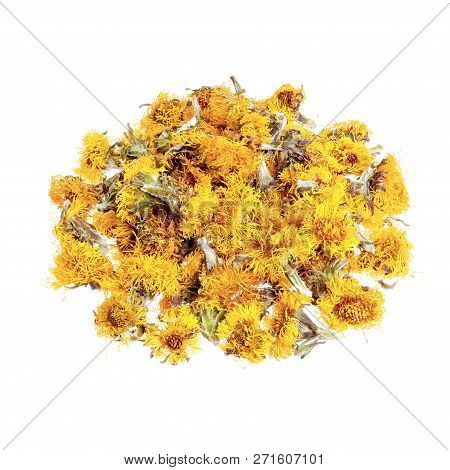 Dried Flowers Coltsfoot Tussilago Farfara Isolated On White.