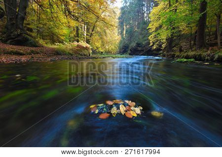 Old Magical Forst With Fallen Orange Leaves Into River. Mystical Autumn Forest In Fog. Amazing Color