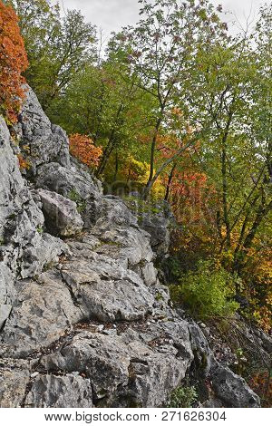Autumn Colours On Display In The Carso Karst Limestone Area Of Friuli, Near Doberdo In North East It