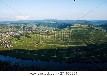 Panoramic View Of Moselle Valley In Germany. Vineyards And River Mosel In Trittenheim In Summer.