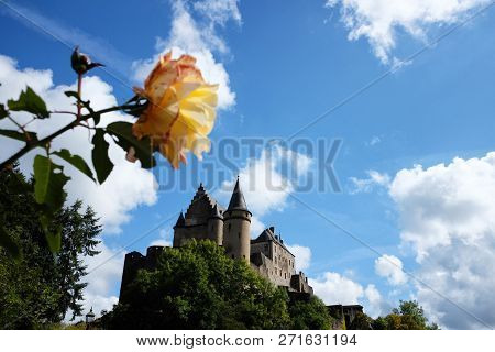 Panoramic View Of Vianden Castle With A Beautiful Rose In The Foreground, Vianden, Luxembourg.