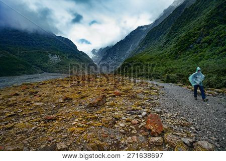 Franz Josef Glacier New Zealand - September3,2015 : Tourist Walking In Franz Josef Glacier Trail ,fr
