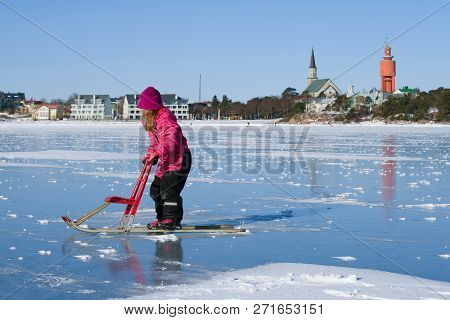 Hanko, Finland - February 24, 2018: A Girl Rides A Finnish Sledge On The Ice Of The Finnish Bay On A