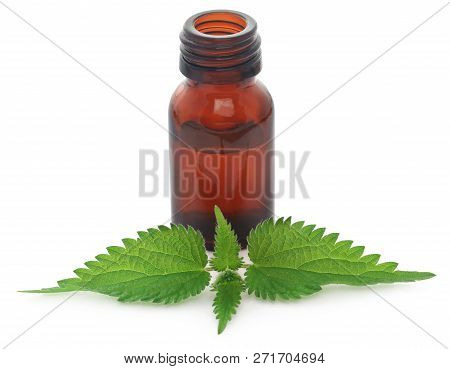 Nettle Leaves With Extract In A Bottle Over White Background