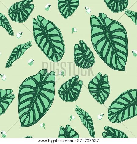Seamless Tropical Pattern. Trendy Background With Rain Forest Plants. Vector Leaf Of Alocasia. Green