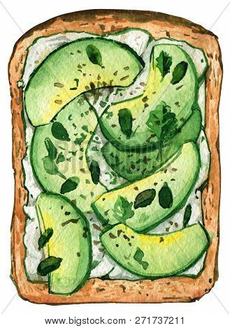 Sandwich Avocado Cheese Bread Healthy Food Watercolor
