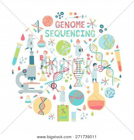 Genome Sequensing Elements In Circle. Vector Illustration. Isolated On White.