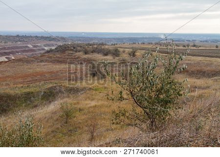 The Last Days In The Tavrian Steppe