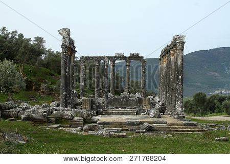 Columns Of The Ancient Temple Of Zeus At Euromos Was An Ancient City In Caria Anatolia Turkey