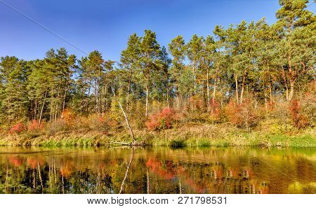 Reflections In The River
