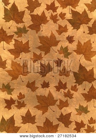 Herfst achtergrond afbeelding gemaakt met platanus verlaat
