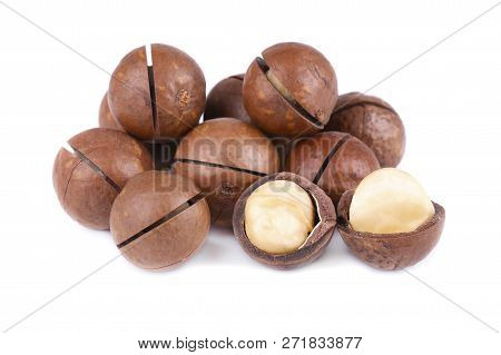 Macadamia Nuts, Isolated On White Background. Shelled And Unshelled Macadamia.