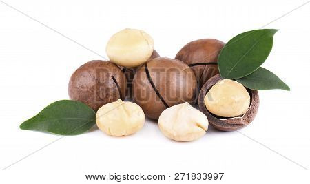 Macadamia Nuts With Leaves, Isolated On White Background. Shelled And Unshelled Macadamia.