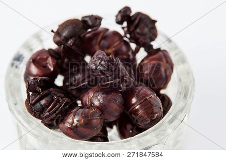 Edible Ant Traditional From Santander Region Of Colombia Called Hormiga Culona Which Literally Trans