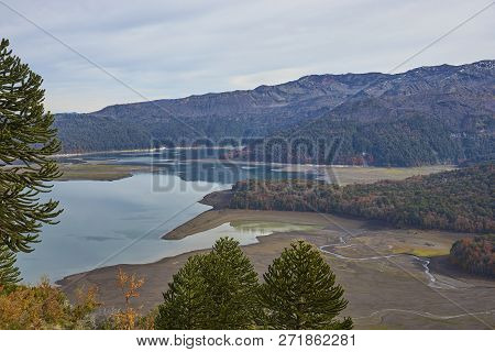 Conguillio National Park In Southern Chile. Lake Shore Of Lago Conguillio Surrounded By Autumn Trees