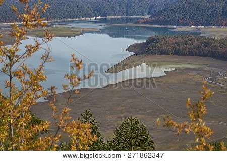Conguillio National Park In Southern Chile. Lake Shore Of Lago Conguillio Surrounded By Autumn Trees