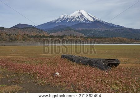 Snow Capped Peak Of Volcano Llaima (3125 Meters) In Conguillio National Park In Southern Chile. Rema