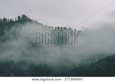Thick Fog In Mountains With Copy Space On Mist. Vintage Foggy Landscape Of Majestic Nature In Faded 