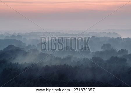 Mystical View On Forest Under Haze At Early Morning. Eerie Mist Among Layers From Tree Silhouettes I