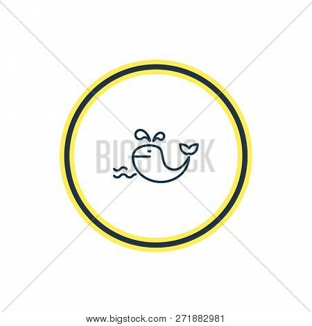 Vector Illustration Of Whale Icon Line. Beautiful Maritime Element Also Can Be Used As Cetacean Icon
