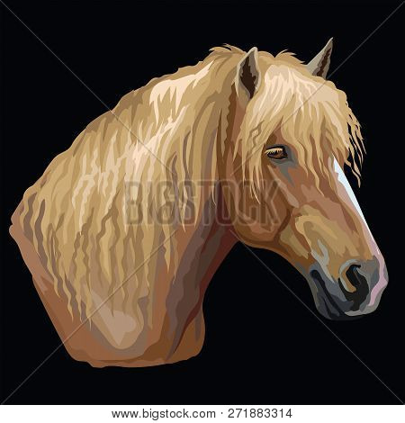 Colorful Portrait Of Russian Heavy Draft Horse. Horse Head  In Profile Isolated Vector Hand Drawing 