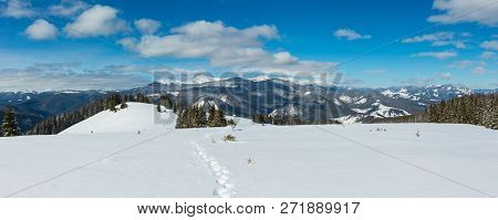 Picturesque Winter Mountain View From Alpine Path With Footprint. Skupova Mountain Slope, Ukraine, V
