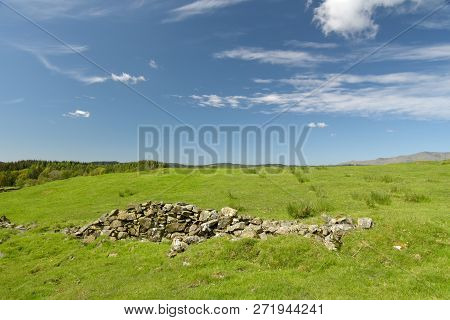 Path Through The Fields And Tarns On Claife Heights In The English Lake District