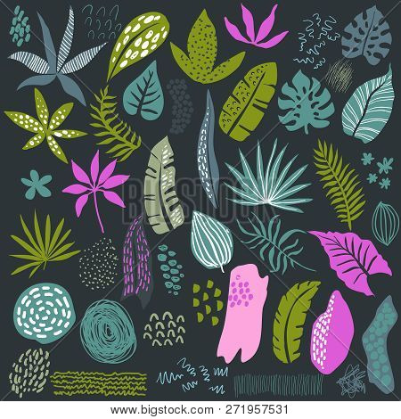 Vector Collection Of Tropical Plants And Abstract Textures