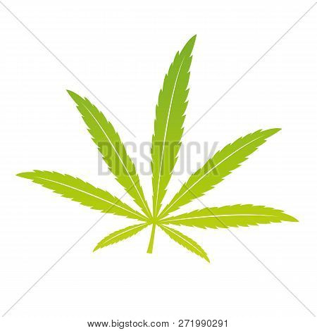 Green Cannabis Leaf Isoladet On White Background Vector Illustration Eps10