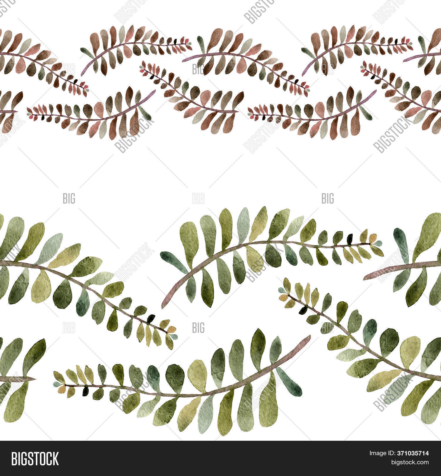 Set Horizontal Borders Image Photo Free Trial Bigstock
