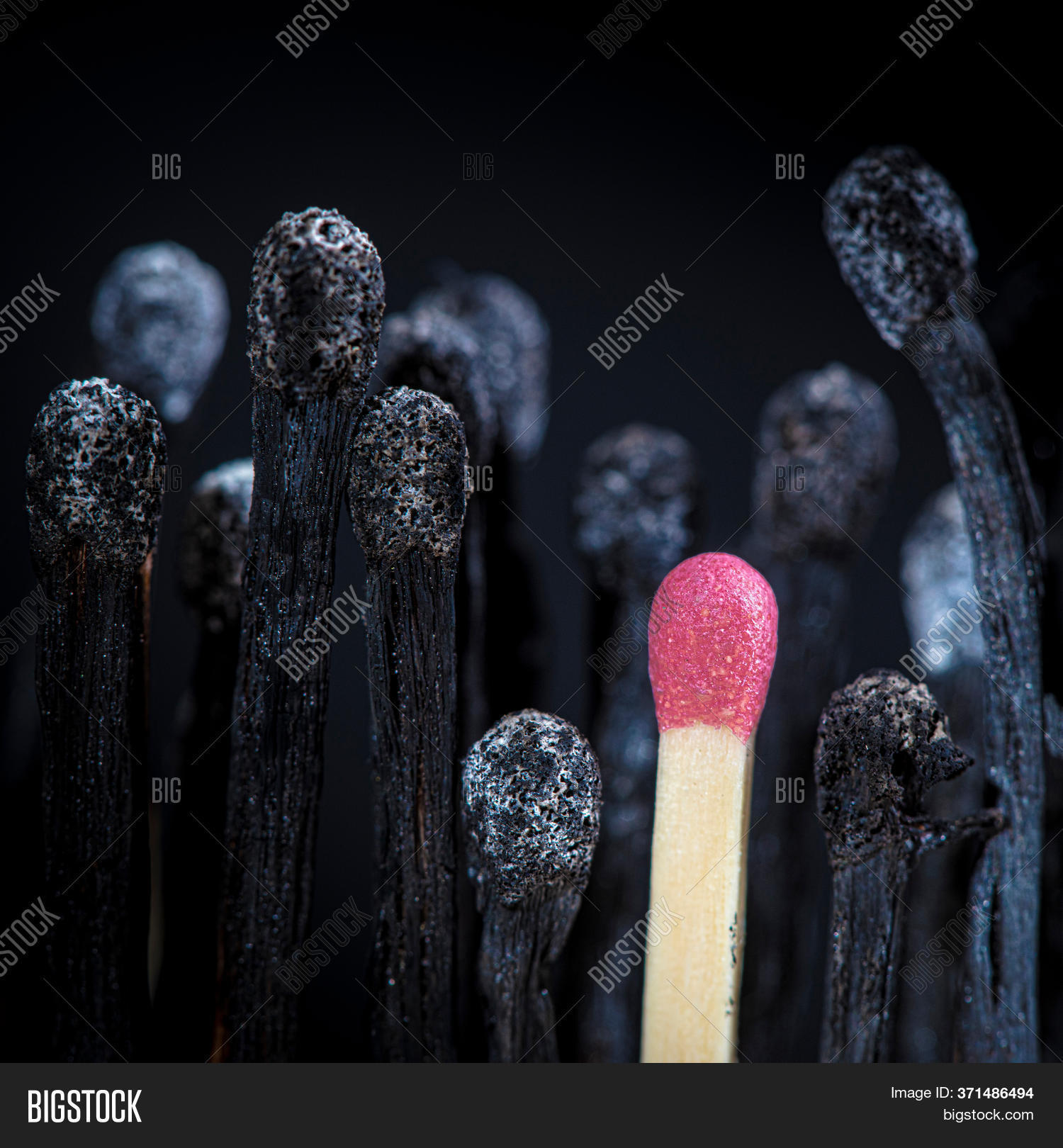 Burnt Matches Match Image & Photo (Free Trial) Bigstock