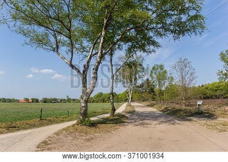 Dirt Road In The Sallandse Heuvelrug National Park In The Netherlands