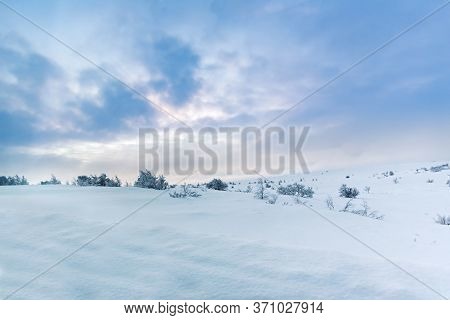 Snow Covered Winter Arctic Tundra Landscape Of Unspoiled Nature With Scattered Trees With Plenty Of 