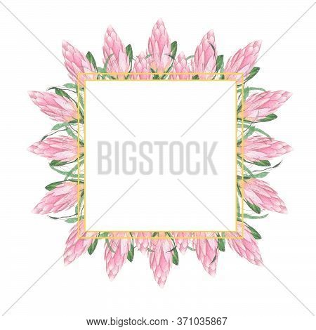 Floral Greeting Frame With Place For Text. Square Frame For Decorations Made Of Delicate Pink Protea