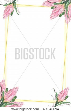 Floral Frame With Place For Text. Golden Rectangular Frame For Decorating Delicate Pink Protea Flowe