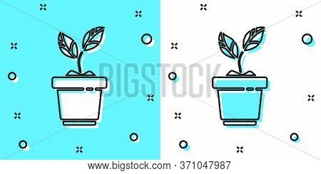 Black Line Plant In Pot Icon Isolated On Green And White Background. Plant Growing In A Pot. Potted 