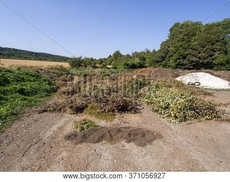 Large Amount Of Flytipping Green Waste Dumped In The Countryside.